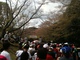 掛川・新茶マラソン2012、４，１５ 008.JPG